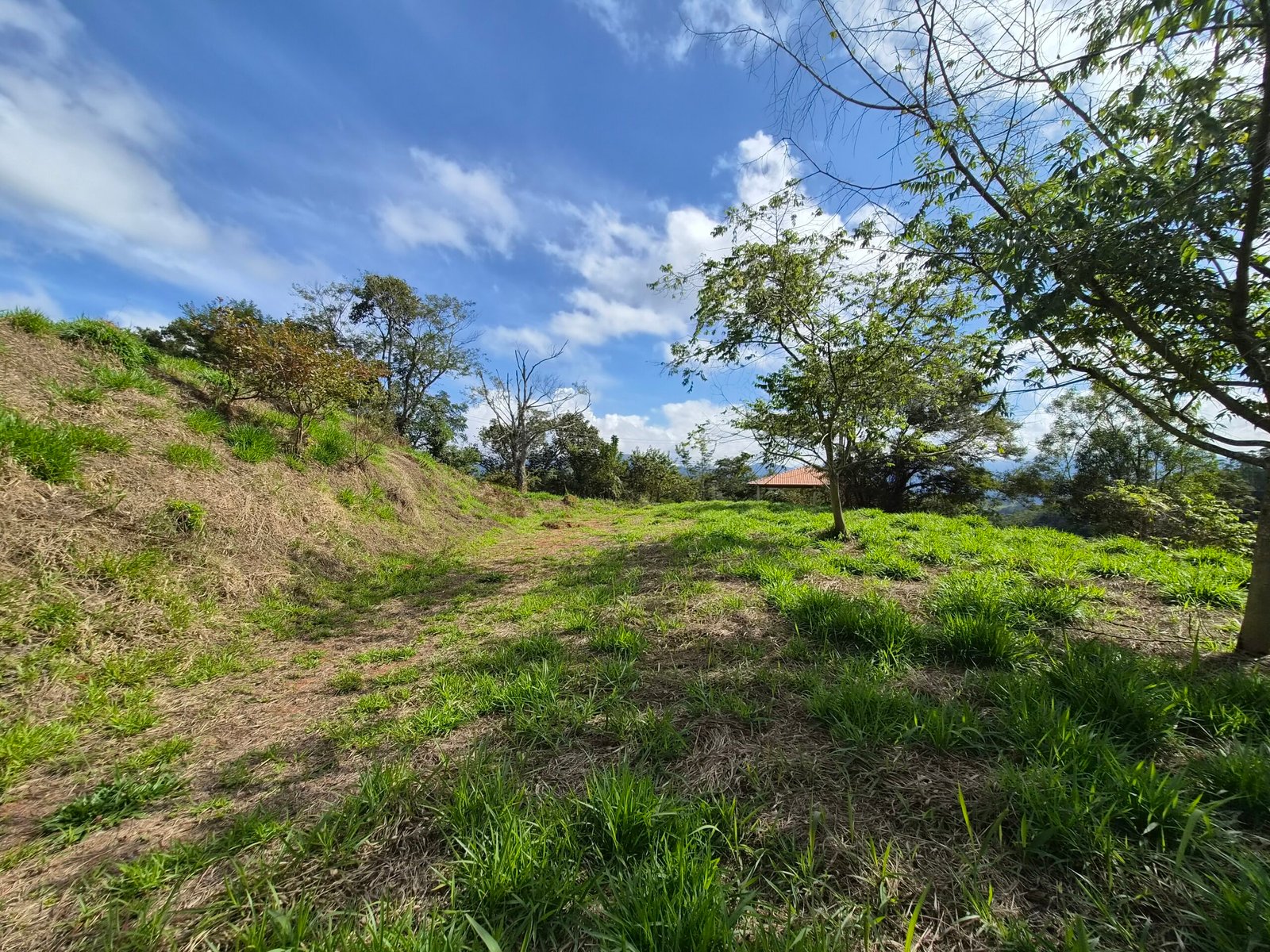 Lote à Venda em Santo Antônio do Pinhal com 1.912m² e Vista para a Pedra do Baú