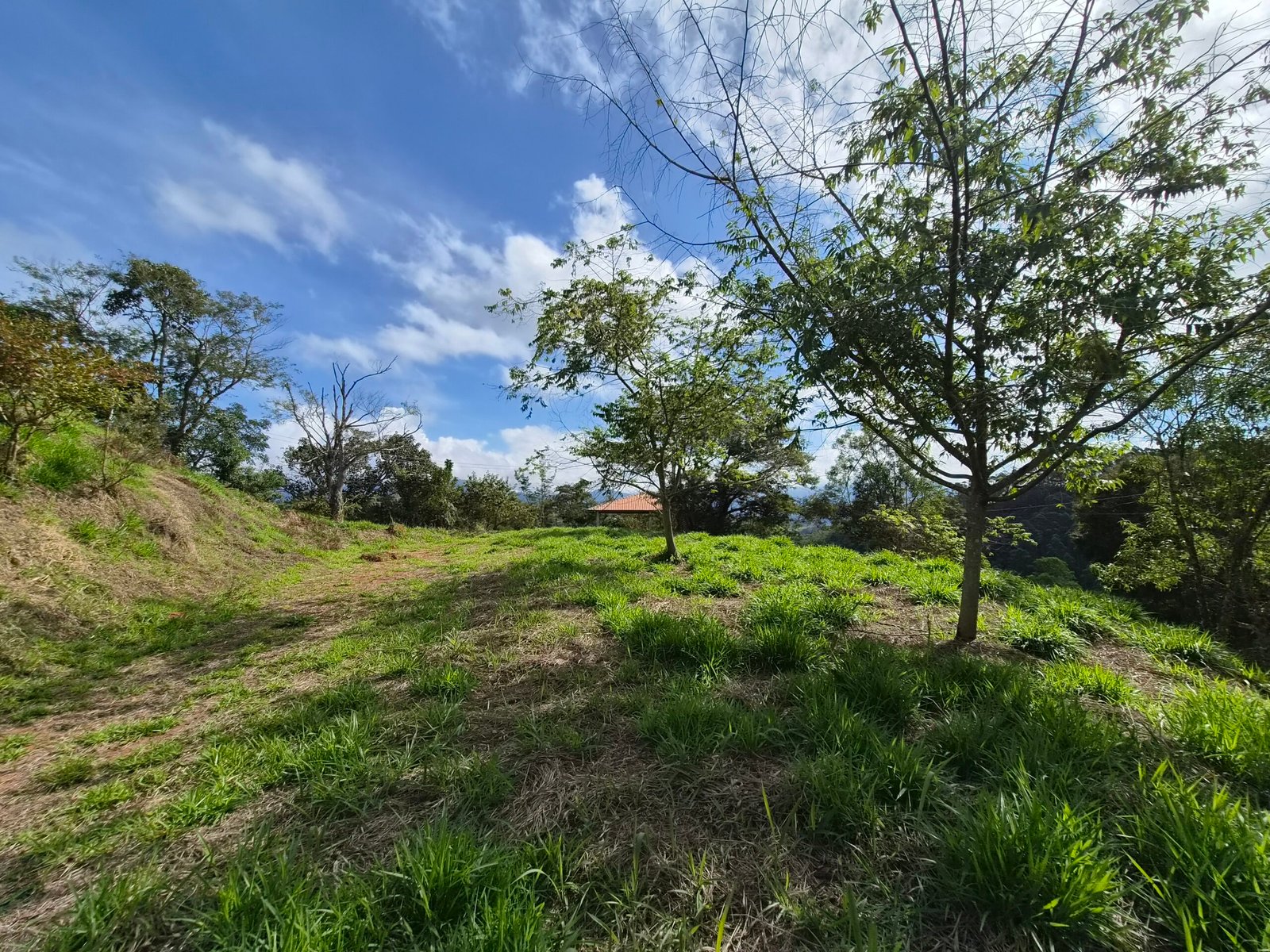 Lote à Venda em Santo Antônio do Pinhal com 1.912m² e Vista para a Pedra do Baú