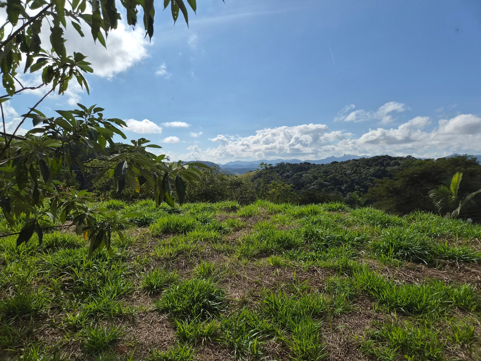 Lote à Venda em Santo Antônio do Pinhal com 1.912m² e Vista para a Pedra do Baú