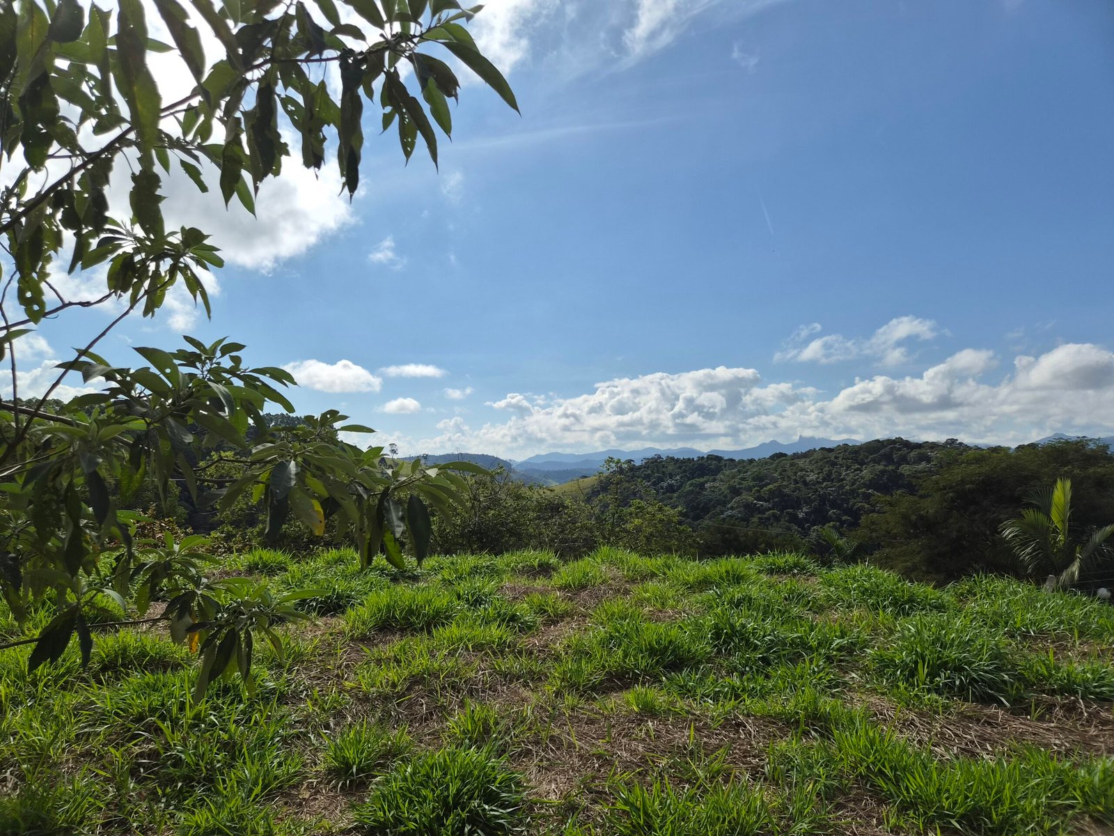 Lote à Venda em Santo Antônio do Pinhal com 1.912m² e Vista para a Pedra do Baú