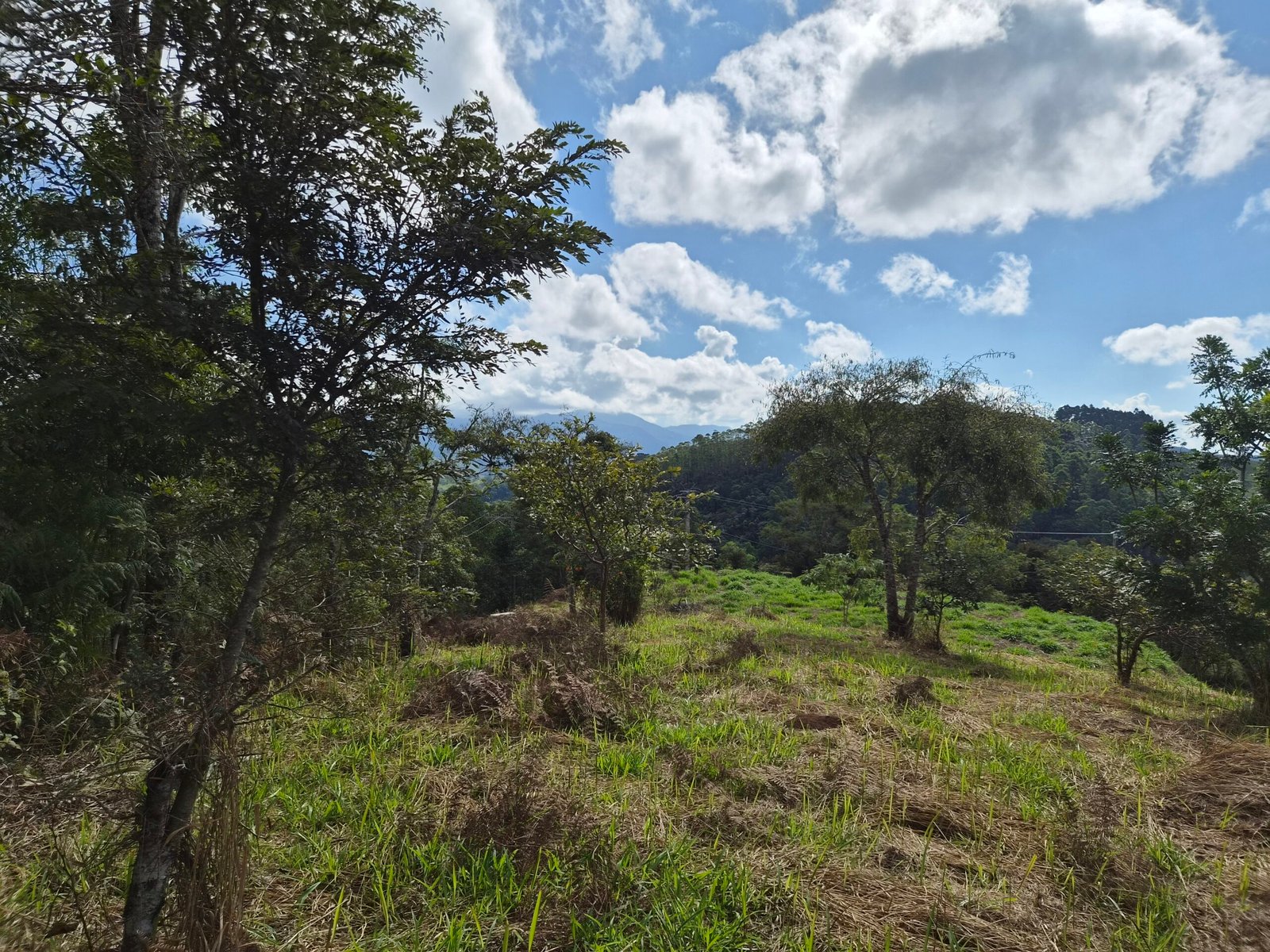Lote à Venda em Santo Antônio do Pinhal com 1.912m² e Vista para a Pedra do Baú